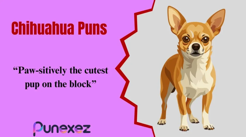 Chihuahua Puns