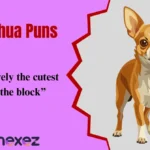 Chihuahua Puns