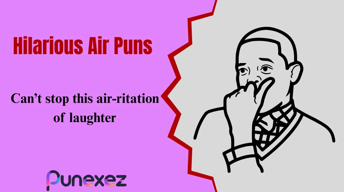 Hilarious Air Puns