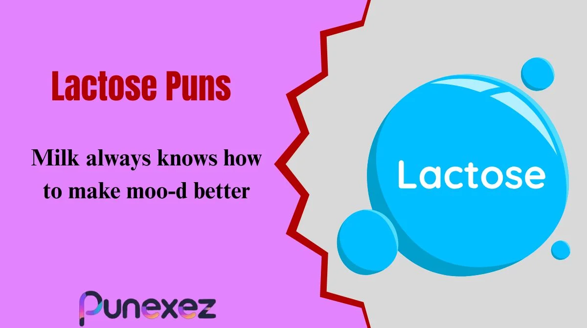 Lactose Puns