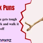 Stick Puns