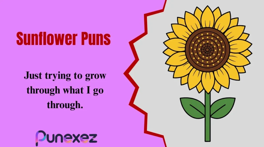 Sunflower Puns