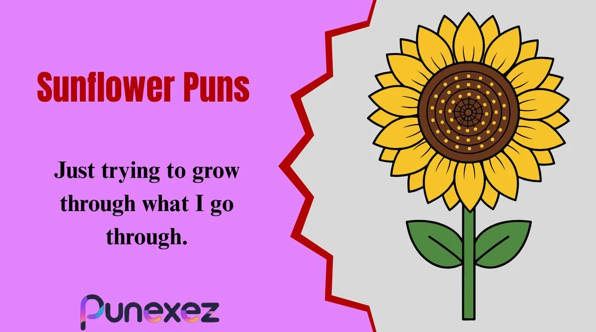 Sunflower Puns