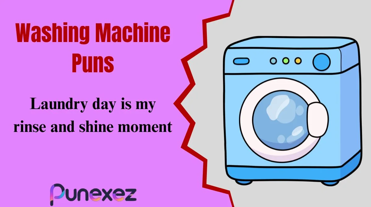 Washing Machine Puns