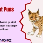 Bobcat Puns