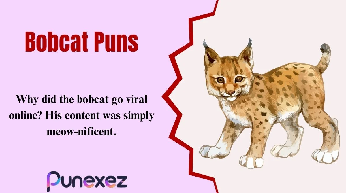 Bobcat Puns