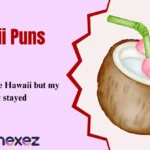 Hawaii Puns