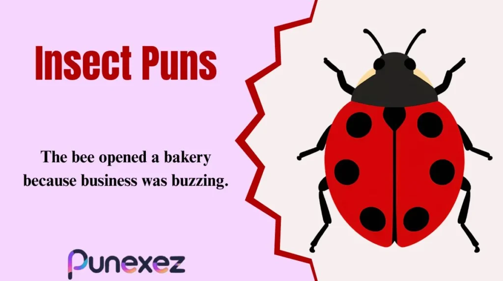 Insect Puns
