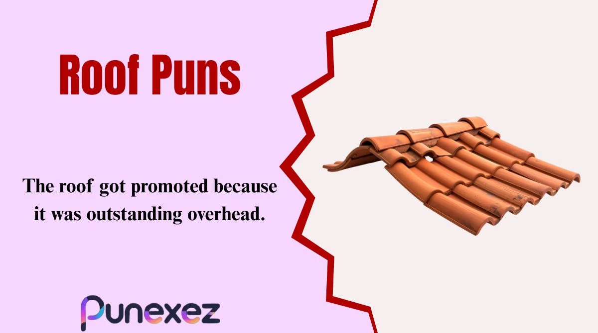 Roof Puns