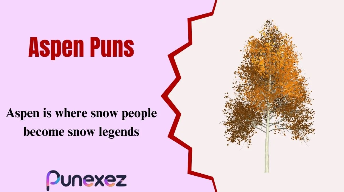 Aspen Puns