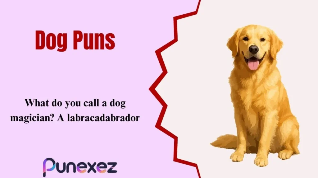 Dog Puns